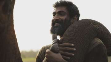 Guess who was the 'busiest' star in Rana Daggubati's 'Haathi Mere Saathi'!