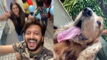 Riteish Deshmukh, wife Genelia join the 'Pawri' trend to wish pet Flash on birthday | VIDEO