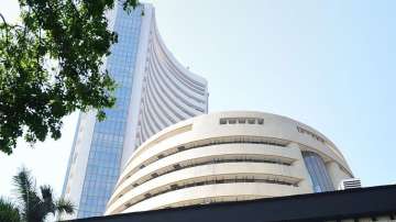 sensex falls, nifty falls 