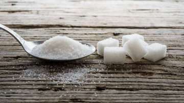 Too much sugar intake in childhood can alter microbiome for life