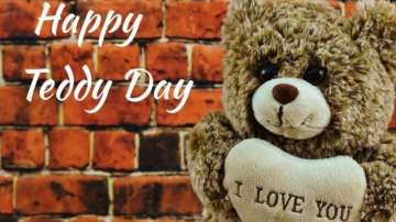 Happy Teddy Day 2021: Not fond of stuff toys? Here's what you can gift your girlfriend instead
