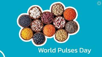 World Pulses Day: Know the benefits of adding protein-rich dals to your diet 