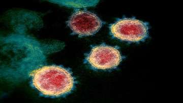 coronavirus, covid19, Covid variants, coronavirus mutation, protein spike, premature shape change, s