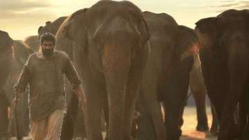 Rana Daggubati, Haathi Mere Saathi