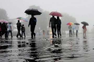 Delhi NCR Rain, Delhi NCR Rain latest news, Delhi NCR Rain latest news photos videos, Delhi NCR temp