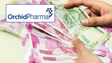 Orchid Pharma share price, Orchid Pharma share record 
