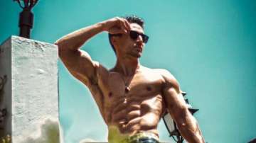 Tiger Shroff's shirtless pic breaks the internet