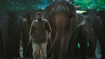 Haathi Mere Saathi: New song Ae Hawa featuring Rana Daggubati will melt your heart; Watch