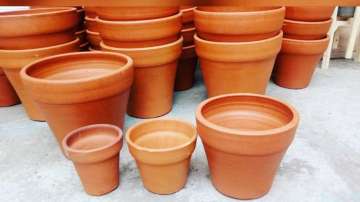 Vastu Tips: It is auspicious to keep pots made of soil in this direction