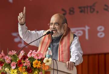 'Congress allying with outfits that wish to divide nation': Amit Shah at rally in Assam