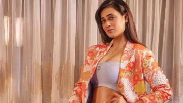 TV actress Shweta Tiwari flaunts perfect abs