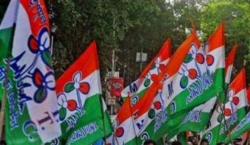 TMC postpones manifesto release following 'attack' on Mamata