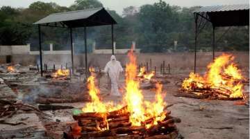 bhopal coronavirus deaths