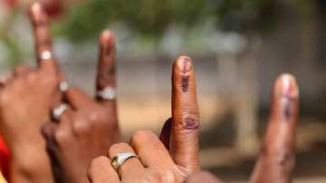 Pune, Voting, Pandharpur-Mangalvedha, assembly bypoll, Maharashtra bypoll, Maharashtra, Solapur, cor