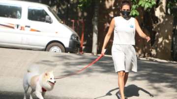 Malaika Arora trolled for stepping out for walking dog Casper amidst the lockdown