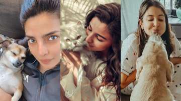 Priyanka Chopra, Alia Bhatt, Anushka Sharma, Bollywood celebs and their adorable pets