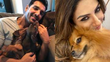 Covid19: Bollywood celebs turn to pals with paws to battle lockdown blues