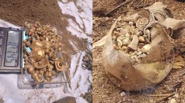 'Mere Des Ki Dharti Sona Ugle' turns real for farmer who finds 5Kg gold while digging land