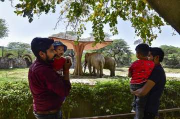 Delhi Zoo reopens after year, ticketing chaos, crowding reported