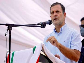This is on you: Rahul Gandhi slams govt over 'oxygen shortage, lack of ICU beds'