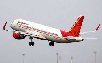 Air India flight returns to Delhi airport half hour after take off as cabin crew sees bat