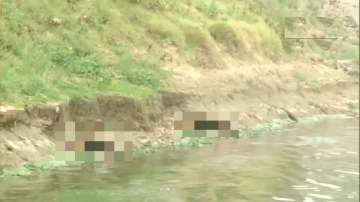UP: Bodies wash up on shores of river Ganga in Ghazipur