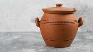Vastu Tips: Keeping clay pot filled with water in THIS direction gives auspicious results