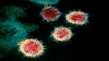 Double-mutant variant shows enhanced host cell entry, immune evasion