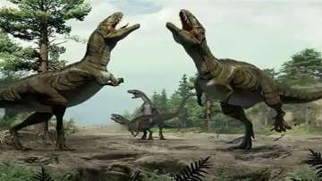 100 million-year-old bones of sauropod dinosaurs discovered in Meghalaya