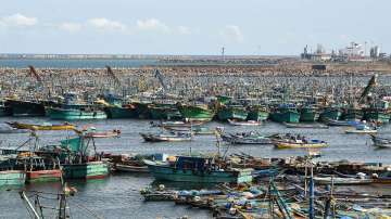 Cyclone Tauktae, Efforts, alert, Tamil Nadu, fishermen, Tamil Nadu fisheries department 