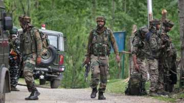 Militant hideout busted in Naranag forest, J&K 