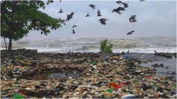 Beach after cyclone Tauktae brushed the city