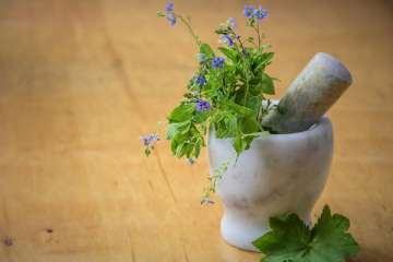Indigenous herbal medicines helpful in treating mild to moderate Covid