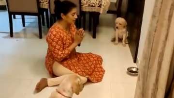 Adorable video of woman teaching pups to pray before meals will melt your heart | WATCH