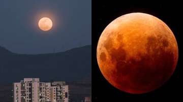 Super Blood Moon 2021: Netizens share stunning pictures of super-celestial event