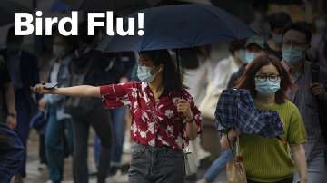 h10n3,bird flu,china bird flu,china lockdown,new virus in china,china new virus