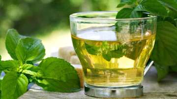 Green tea, help, tackle, COVID-19, Indian origin researcher, coronavirus pandemic, covid updates, co