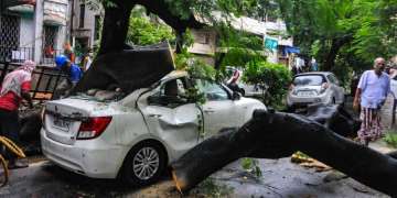 Kolkata Municipal Corporation workers cut a tree after it got uprooted and fell on a car following heavy rain, in Kolkata.