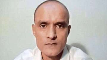 Rohatgi suggested that India should again make a plea at Human Rights Court and International Court of Justice for Jadhav's release as he was "wrongly arrested and illegally convicted without any rights".
