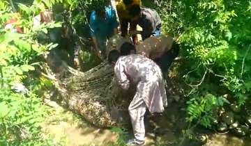 J&K: Wildlife dept catches leopard a day after 4-year-old girl mauled to death in Budgam