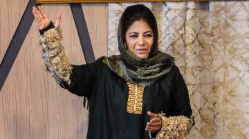 kashmir, mehbooba  mufti, pakistan talk 