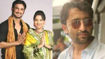 Pavitra Rishta, Shaheer Sheikh