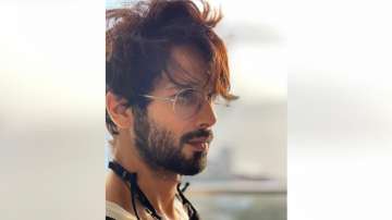 Shahid Kapoor treats fans with sunkissed picture: 'We always tend to love most what we have lost'