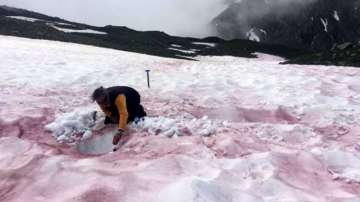 Know truth behind 'Glacier Blood' and why is it key to understand climate change