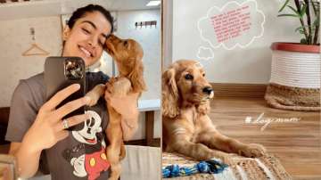 National Crush Rashmika Mandanna shares glimpse of her new house with cute pic of pet dog Aura