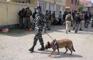 J-K: Grenade attack on CRPF vehicle in Pulwama's Tral