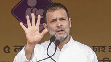 Rahul Gandhi slams Modi government for rise in fuel prices