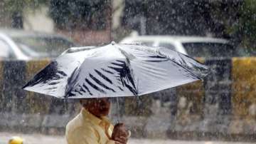Parts of Uttar Pradesh receive light to moderate rains