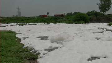 Delhi: Thick layer of toxic foam shrouds Yamuna river
