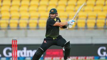 Australia captain Aaron Finch likely to have right knee surgery